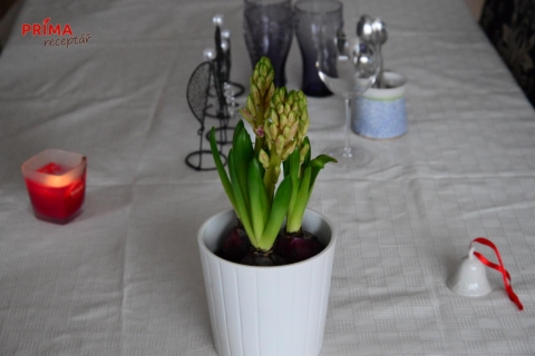 hyacinty na vanocnim stole
