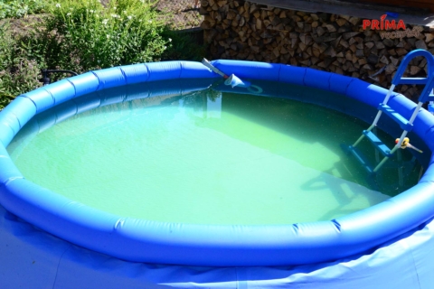 zelena voda v bazenu